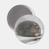 チョンキーシール磁石 マグネット (正面/裏面)