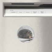 チョンキーシール磁石 マグネット (インサイチュ (食洗機))