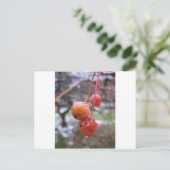 チョークさくらんぼ ポストカード (スタンド正面)