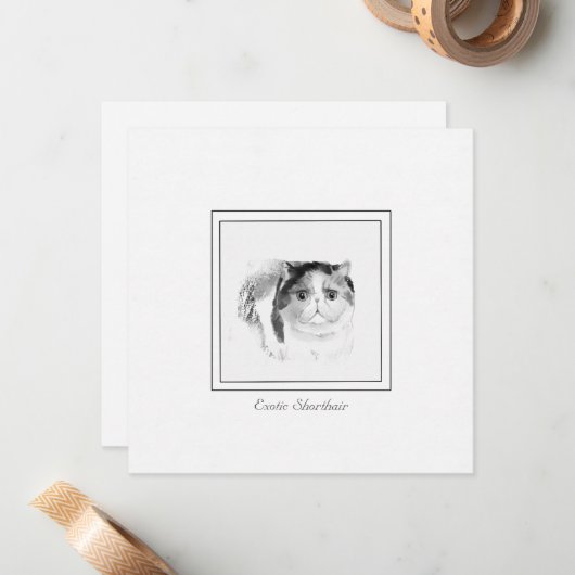 チョークと木炭のエキゾチックなショートヘア猫のスケッチ ノートカード (正面/裏面インサイチュ)