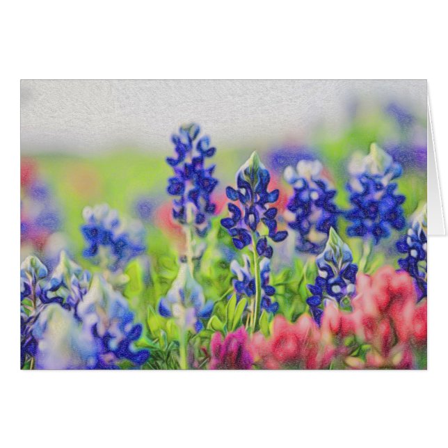 チョークのBluebonnets (正面横)