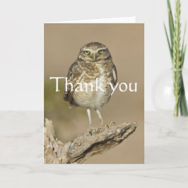 チョーラの肋骨にいるアナホリフクロウ サンキューカード