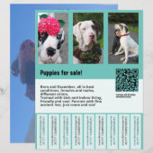 チラシ販売テンプレート (正面/裏面)