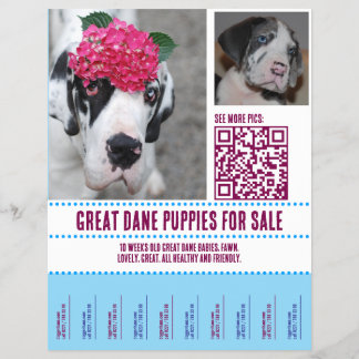 チラシ販売 チラシ