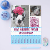 チラシ販売 チラシ (シングル)