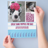 チラシ販売 チラシ (手)