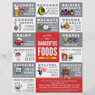 チラシ – 世界で最も危険な犬用の食品