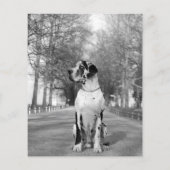 チラシ「売り手」 チラシ (裏面)