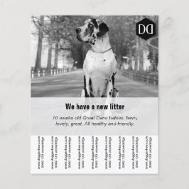 チラシ「売り手」 チラシ