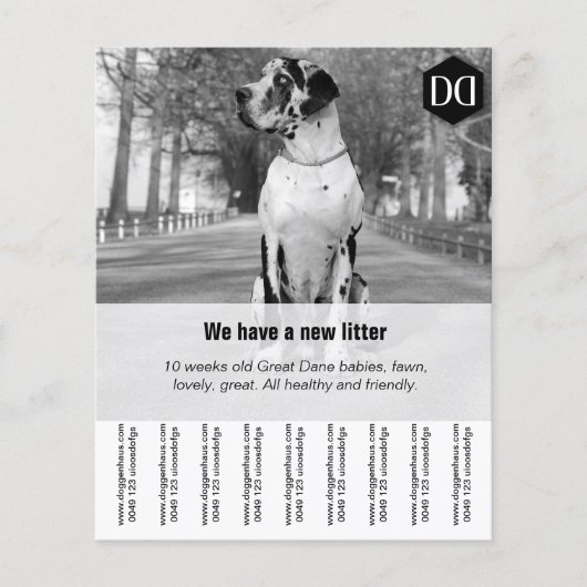 チラシ「売り手」 チラシ (正面)