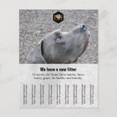 チラシ「売り手」 チラシ (正面)