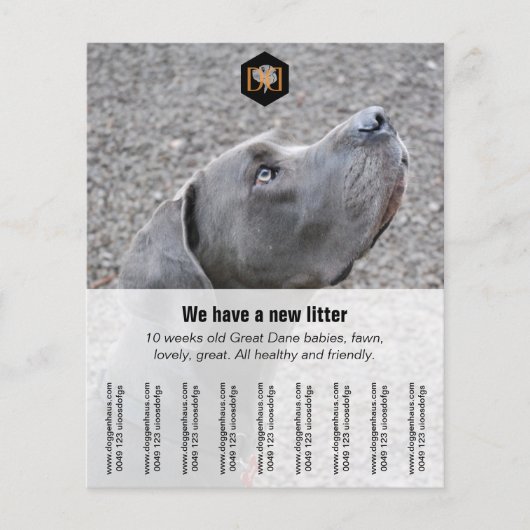 チラシ「売り手」 チラシ (正面)