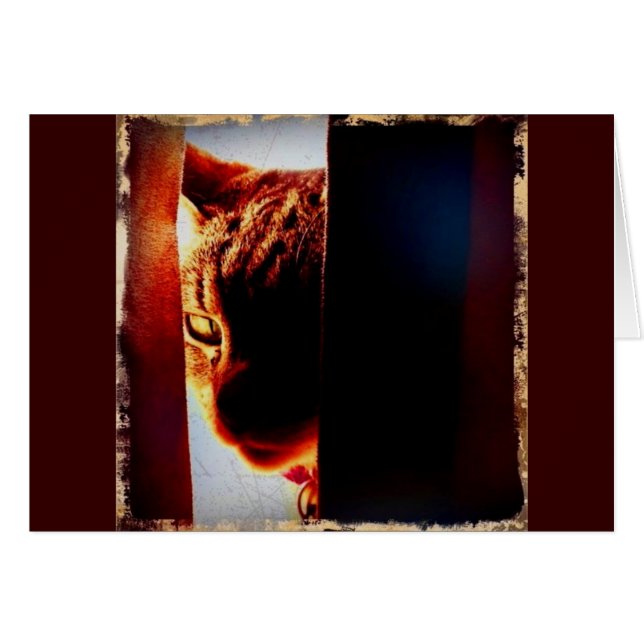 チラッと見る (正面横)