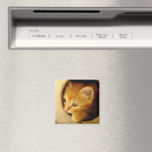 チラッと見るKitten – マグネット (インサイチュ (食洗機))