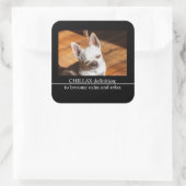 チラックスChihuahua眠リラックスい舌アウト写真 スクエアシール (バッグ)