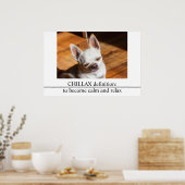 チラックスChihuahua眠リラックスい舌アウト写真 ポスター (キッチン)