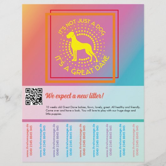 チラ鮮やかー販売色 チラシ (正面)