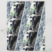 チラ鮮やかー販売色 チラシ (裏面)