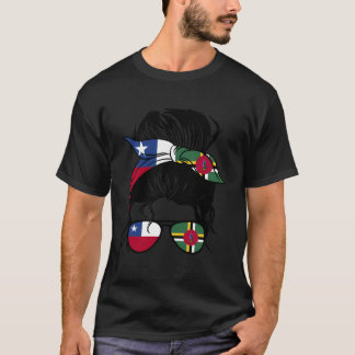 チリとドミニカが混在するチリのハーフ・ドミニカ Tシャツ