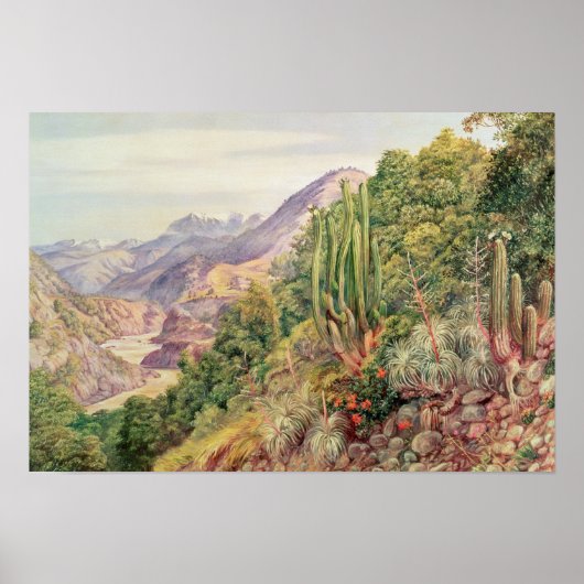 チリのコルデラのランジェナスの流れ ポスター (正面)