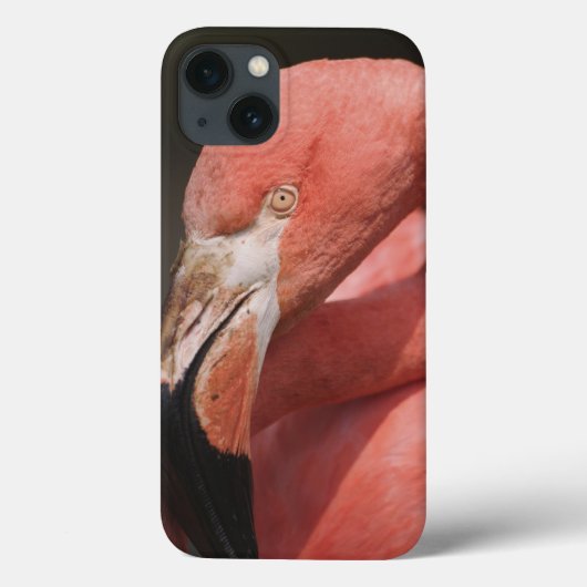 チリのフラミンゴ、Phoenicopterusのchilensis Case-Mate iPhoneケース (裏面)