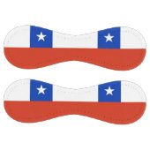 チリの国旗を掲げた愛国的なソフトボール ソフトボール (パネル)