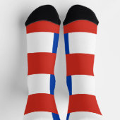 チリの国旗 ソックス (上部)