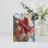 チリの恐怖に満ちた…タイ通り食品 ポストカード (スタンド正面)