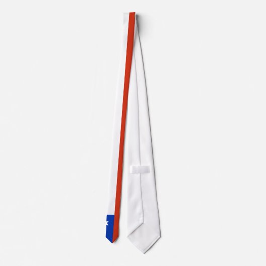 チリの旗 ネクタイ (裏面)