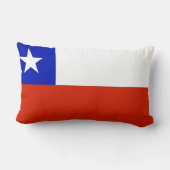 チリの旗 ランバークッション (裏面)