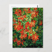 チリの燃え盛るブッシュと欧州経済通貨同盟素晴らし、芸術、 ポストカード (正面/裏面)