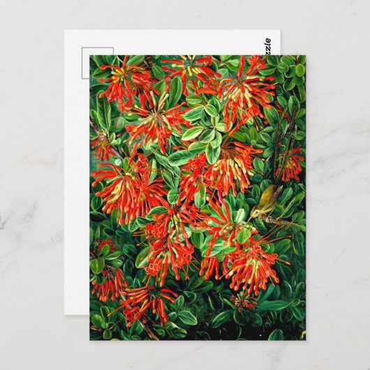 チリの燃え盛るブッシュと欧州経済通貨同盟素晴らし、芸術、 ポストカード (正面/裏面)