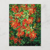 チリの燃え盛るブッシュと欧州経済通貨同盟素晴らし、芸術、 ポストカード (正面)