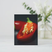 チリの種、静物産 ポストカード (スタンド正面)