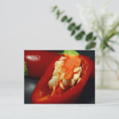 チリの種、静物産 ポストカード (スタンド正面)