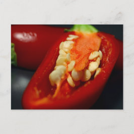 チリの種、静物産 ポストカード