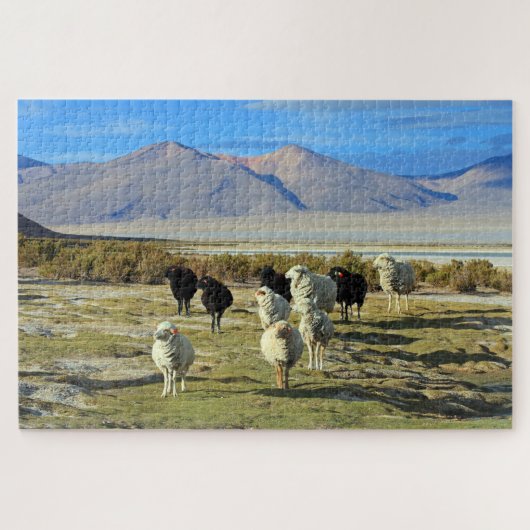 チリの羊1014-pc ジグソーパズル (横)