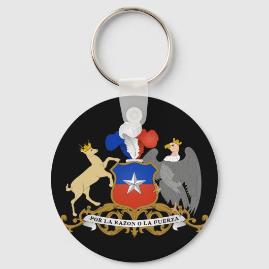 チリの象徴 キーホルダー (正面)