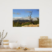 チリカワ山脈、AZ。 ポスター (キッチン)