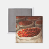 チリス2010 マグネット (正面/裏面)