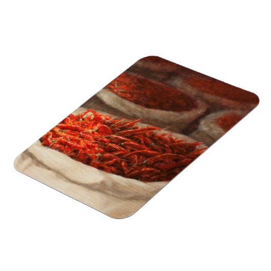 チリス2010 マグネット (左側)