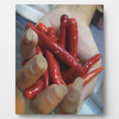 チリズ熱に浮かぶ フォトプラーク (正面)