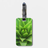 チリパイン素晴らしモンキーパズルツリー ラゲッジタグ (裏面縦)