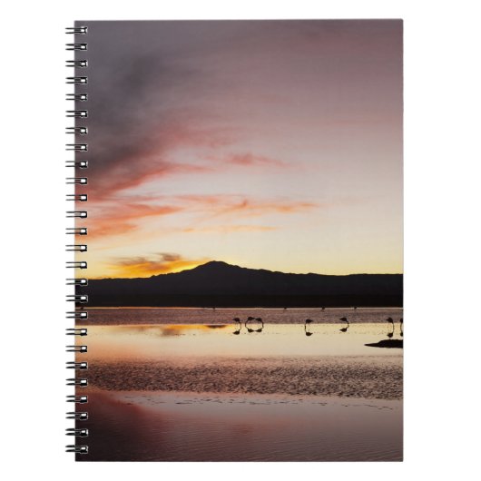 チリフラミンゴ ノートブック (正面)