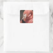 チリフラミンゴ、フエニコプテラス スクエアシール (バッグ)