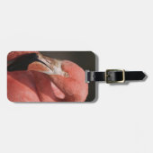 チリフラミンゴ、フエニコプテラス ラゲッジタグ (正面横)