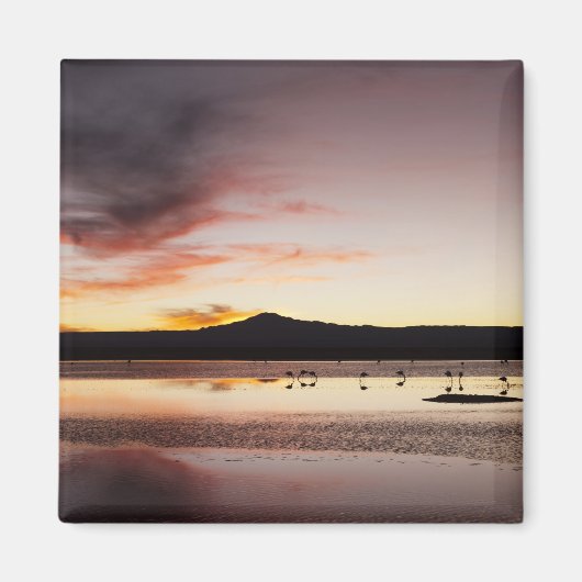 チリフラミンゴ マグネット (正面)