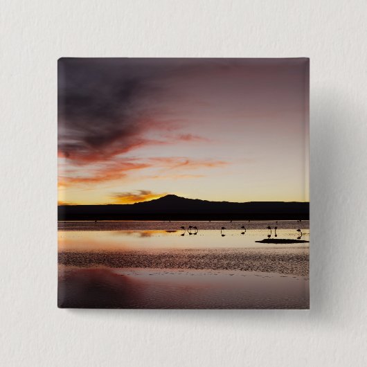 チリフラミンゴ 缶バッジ (正面)