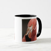 チリフラミンゴ, Phoenicopterus chilensis マグカップ (正面右)