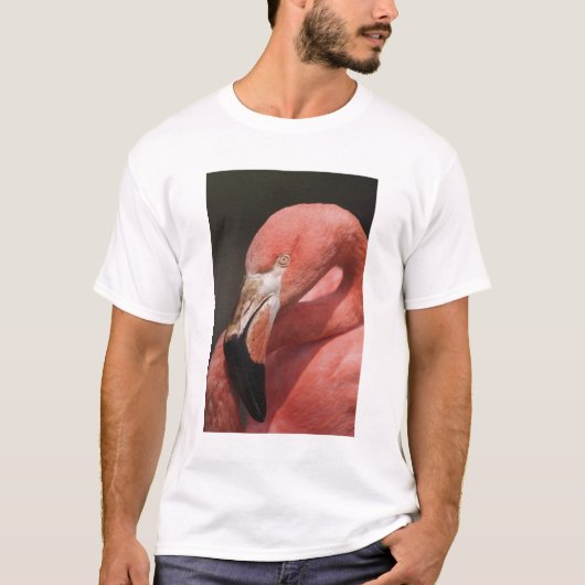 チリフラミンゴ, Phoenicopterus chilensis Tシャツ (正面)